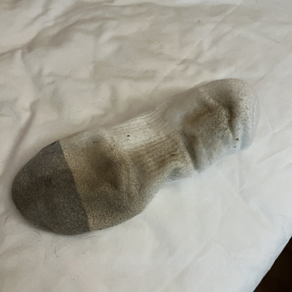 Motel 6 - My husband's white sock. - Hotels Near Me - White House, Tennessee