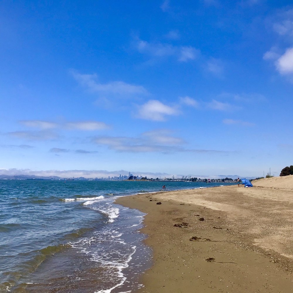 Alameda Beach - Beaches Near Me - Alameda, California Alameda Beach - Beaches Near Me - Alameda, California