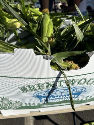 Tamarack Junction Farmers Market by null