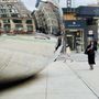 Photo of The Bean