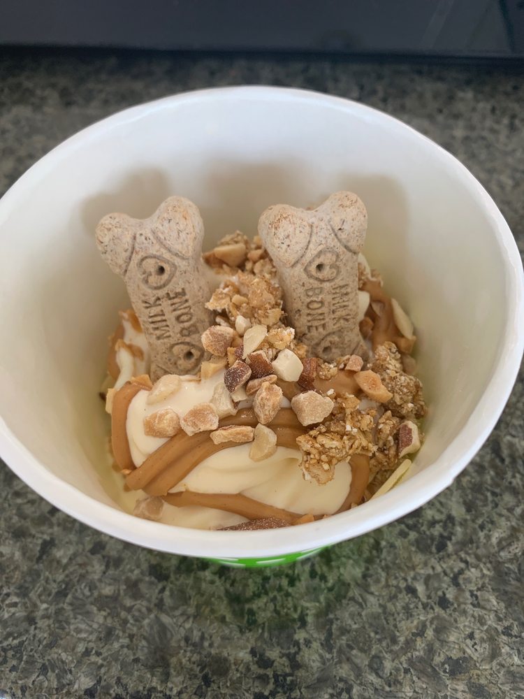 THE WHISTLE STOP YOGURT 25 Photos & 63 Reviews 58 Main St