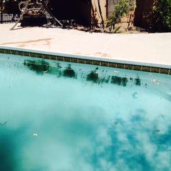 Sierra Oasis Pool Maintenance - This is how black algae can take over a pool! This is one thing we can help you with! - Pool Cleaners Near Me Sierra Oasis Pool Maintenance - This is how black algae can take over a pool! This is one thing we can help you with! - Pool Cleaners Near Me