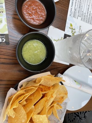 Iguana On Park by null