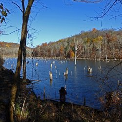 Friends of Long Pond Ironworks - Long Pond