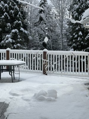 McCloud River Bed and Breakfast by null