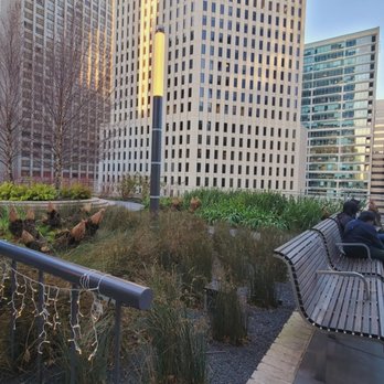 Salesforce Park - Salesforce Park in the rooftop - more nice area to rest and catch up - Parks Near Me - San Francisco, California