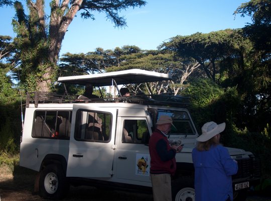 Thomson Safaris by null