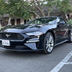 Miami's Auto Spa - Ford Mustang