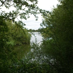 Coate Water Country Park