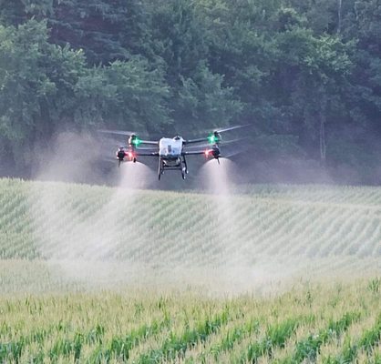 Warbucks Land Clearing & Excavating by null