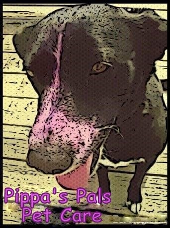 Pippa's Pals Pet Care Image
