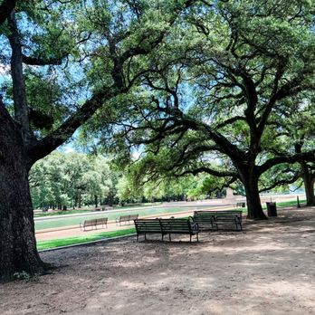 Japanese Garden - Shaded area - Botanical Gardens Near Me - Houston, Texas