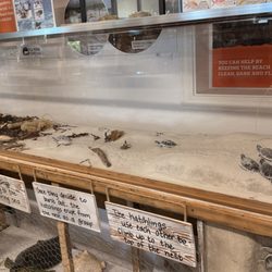 Destin History & Fishing Museum