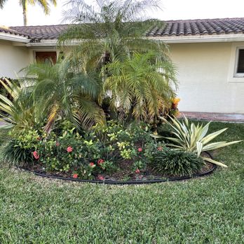 Vicente Tree Services - Lots of overgrowth, unhealthy plants, landscape lighting mostly blocked, etc. - Tree Services Near Me Vicente Tree Services - Lots of overgrowth, unhealthy plants, landscape lighting mostly blocked, etc. - Tree Services Near Me