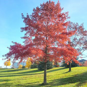 L'Amoreaux Park - Parks Near Me - Toronto, Ontario L'Amoreaux Park - Parks Near Me - Toronto, Ontario