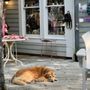 Photo of Carolina Moon Gallery