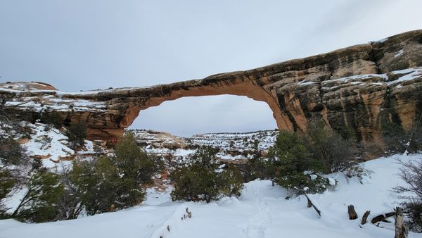 Natural Bridges National Monument by null