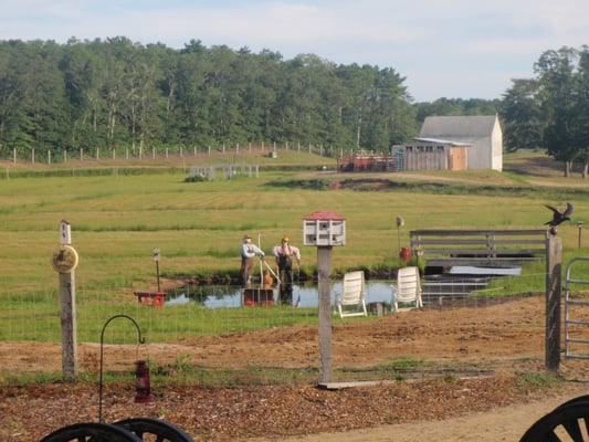 Cranberry Bog Tours by null