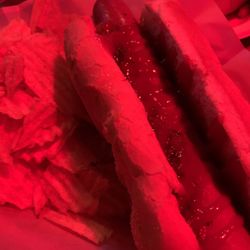 Old 5th Avenue Tavern - Hot dog and chips