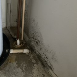 Mallard Crossing - Mold in water heater closet in bedroom