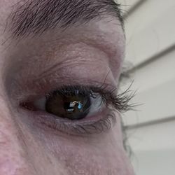 The Lash Lounge