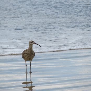 Del Monte Beach - Beaches Near Me - Monterey, California