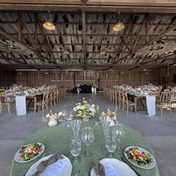 Saureel Vineyards - Full Set-up