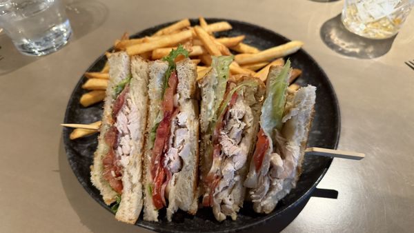 The Maligne Range by null