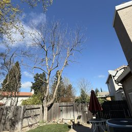 After pruning After pruning