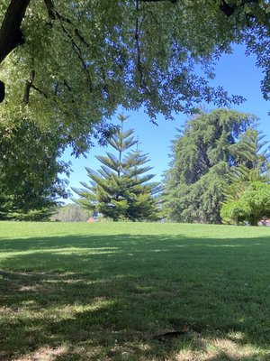 Adelaide Botanic Garden by null
