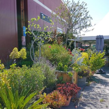 Kokomo Winery - Outdoor garden - Wineries Near Me - Healdsburg, California Kokomo Winery - Outdoor garden - Wineries Near Me - Healdsburg, California