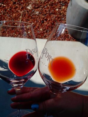 Pasoport Wine Company by null