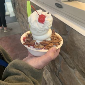 Froggs Ice Cream - Tropical hopper - Ice Cream & Frozen Yogurt Near Me - Sherwood, Wisconsin Froggs Ice Cream - Tropical hopper - Ice Cream & Frozen Yogurt Near Me - Sherwood, Wisconsin