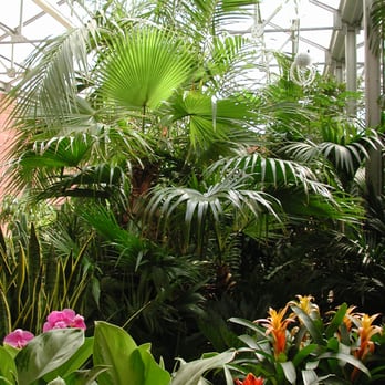 plants - Nurseries & Gardening Near Me - Chicago, Illinois