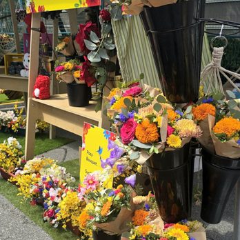 Carnival Del Sol - 2026 - Festivals Near Me - Vancouver, British Columbia