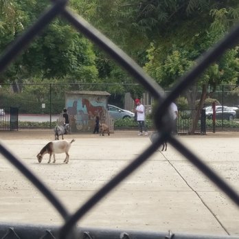 Kennedy Park - Petting zoo - Parks Near Me - Hayward, California Kennedy Park - Petting zoo - Parks Near Me - Hayward, California