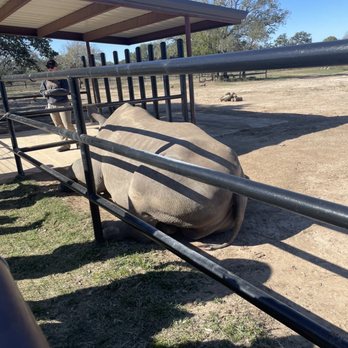 Rhinory - Wineries Near Me - Fredericksburg, Texas