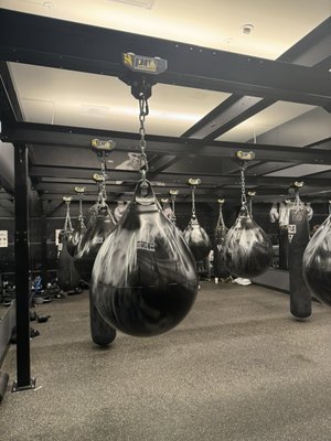 The Sporting Club at The Bellevue by null