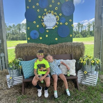 Amber Brooke Farms - Eustis - Pick Your Own Farms Near Me - Eustis, Florida