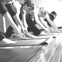 Nature Force Works - Building strong, flexible backs through knowledgeable alignment and systematic sequencing