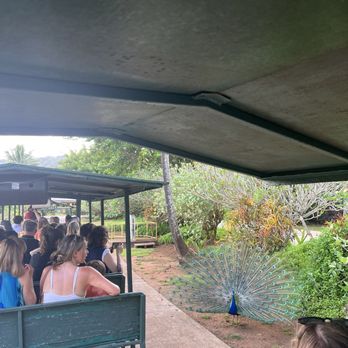 Smith's Family Garden Luau - Tram tour of garden - Music Venues Near Me - Kapaa, Hawaii