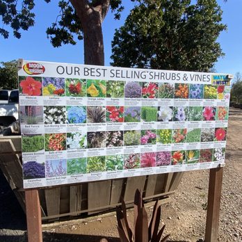 Moon Valley Nurseries - Nurseries & Gardening Near Me - Gilroy, California Moon Valley Nurseries - Nurseries & Gardening Near Me - Gilroy, California