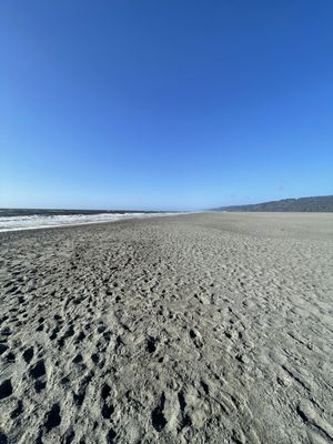 Big Lagoon County Park by null