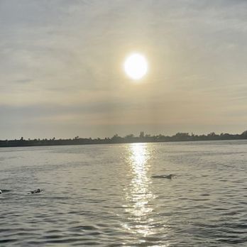 Fun Boat Tours - Sunset and Dolphins, exactly what we went to see. Did not disappoint. - Boat Charters Near Me - Sarasota, Florida Fun Boat Tours - Sunset and Dolphins, exactly what we went to see. Did not disappoint. - Boat Charters Near Me - Sarasota, Florida