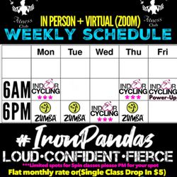 IronCurves fitness club - Schedule