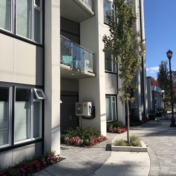 SoLo Suites - SoLo Suites - Hotels Near Me - Victoria, British Columbia