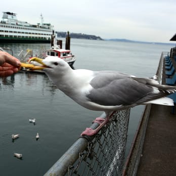 Ivar's Fish Bar - Seafood Near Me - Seattle, Washington Ivar's Fish Bar - Seafood Near Me - Seattle, Washington