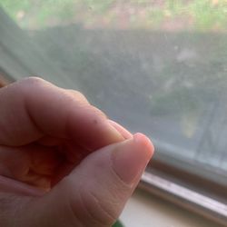 Tomball Nails - Cracked the day after getting them done