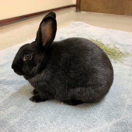 Handsome getting the best care at Brandner Veterinary Hospital Handsome getting the best care at Brandner Veterinary Hospital