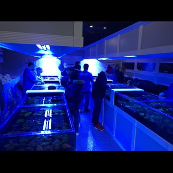 Matt's Corals & Service - Aquarium Services Near Me - Gahanna, Ohio